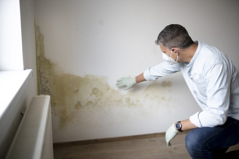 rising damp tonbridge royal tunbridge wells